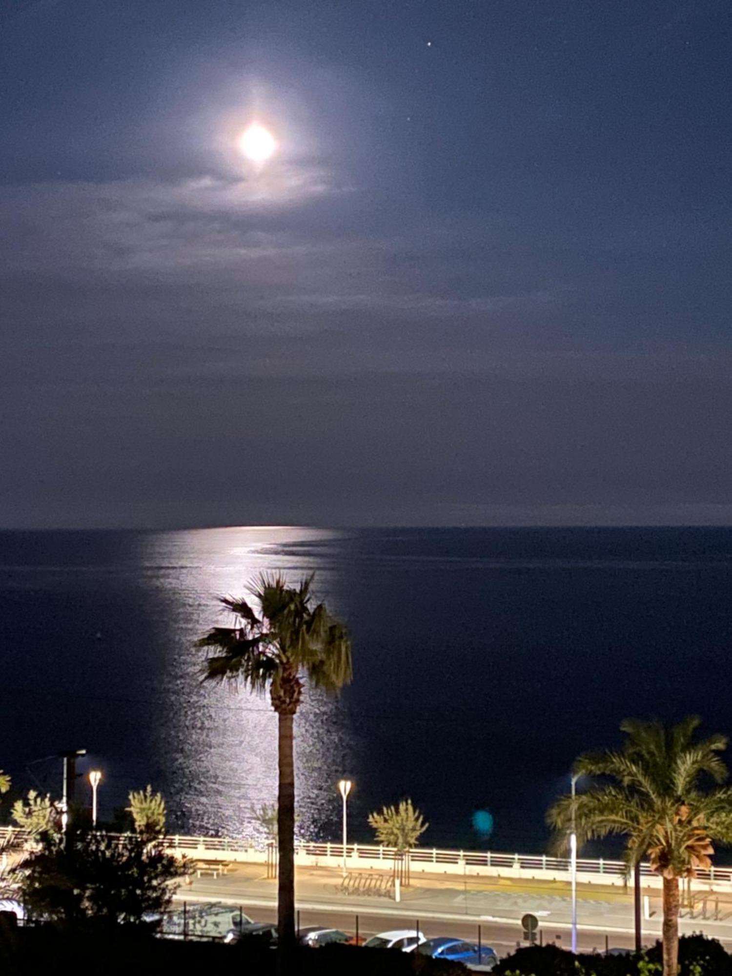 Bord De Mer, Terrasse, Tout A Pieds Cannes Buitenkant foto